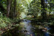 Load image into Gallery viewer, River Mountain Retreat - September 18th through 20th